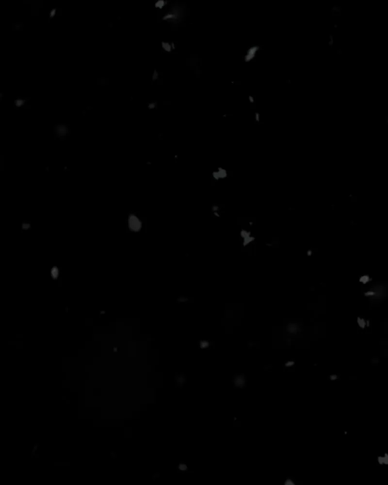 Shiloh Chapter 51 page 71 - 