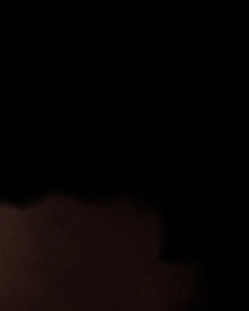 Shiloh Chapter 60 page 90 - 