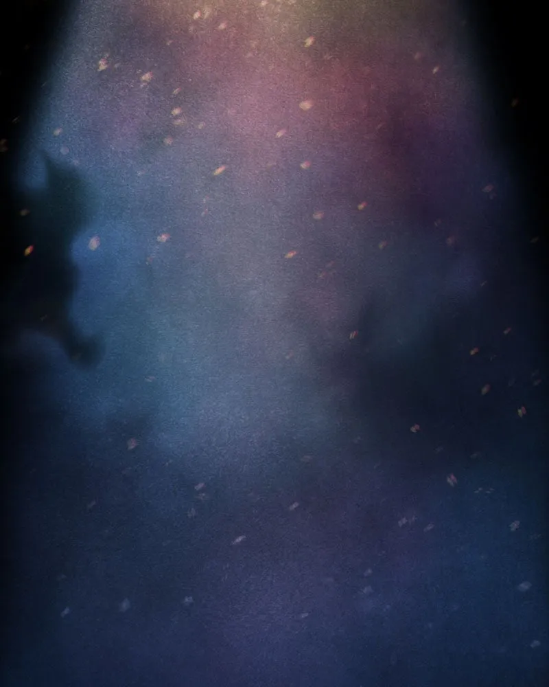 Shiloh Chapter 71 page 72 - 