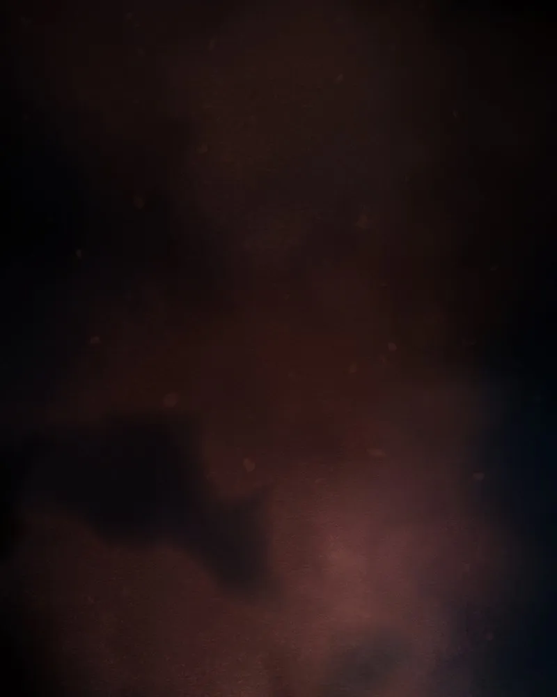 Shiloh Chapter 89 page 72 - 