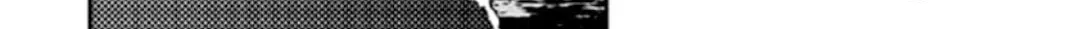 SHIMONETA: A Boring World Where the Concept of Dirty Jokes Doesn’t Exist Chapter 19 page 24 - 