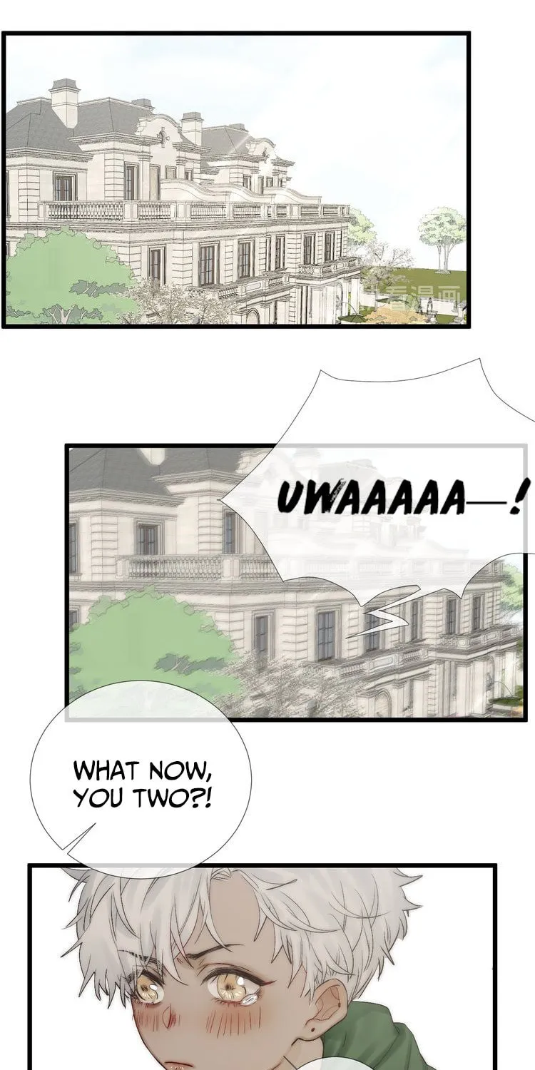 Shining Star (Colored) Chapter 50 page 16 - 