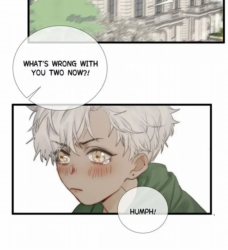  Chapter 1.3 page 11 - 