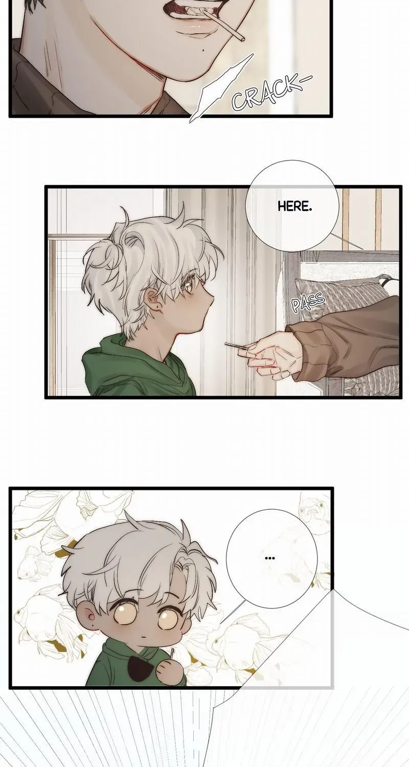  Chapter 42.96 page 13 - 