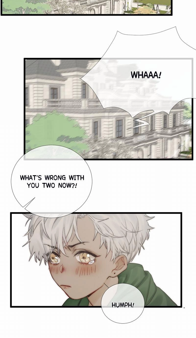  Chapter 49.1 page 11 - 