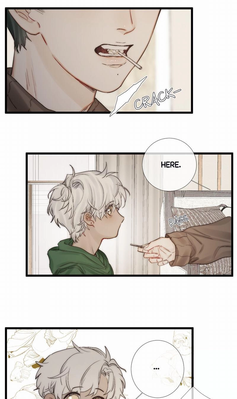  Chapter 49.1 page 13 - 