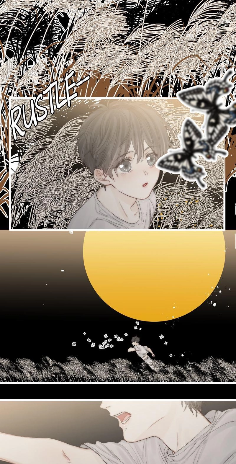  Chapter 49.2 page 2 - 