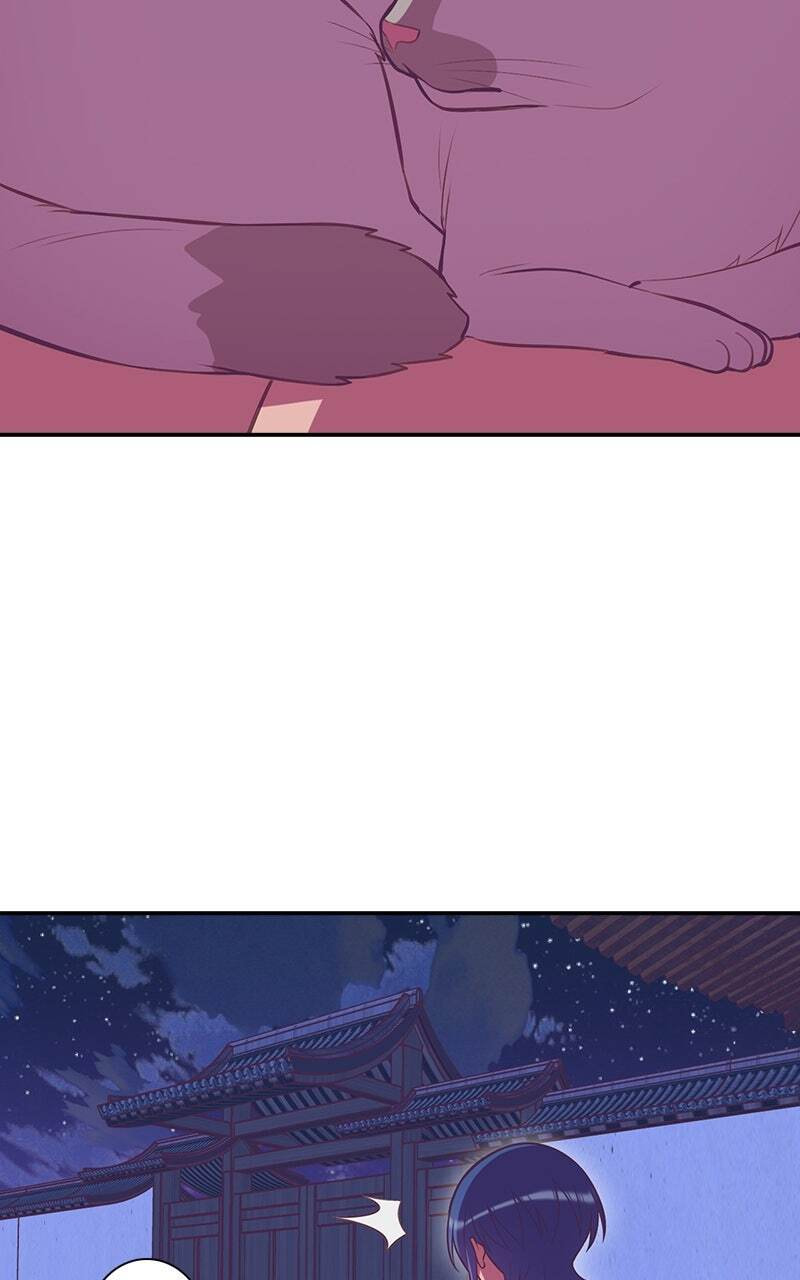 SHIRAI Chapter 49 page 11 - 