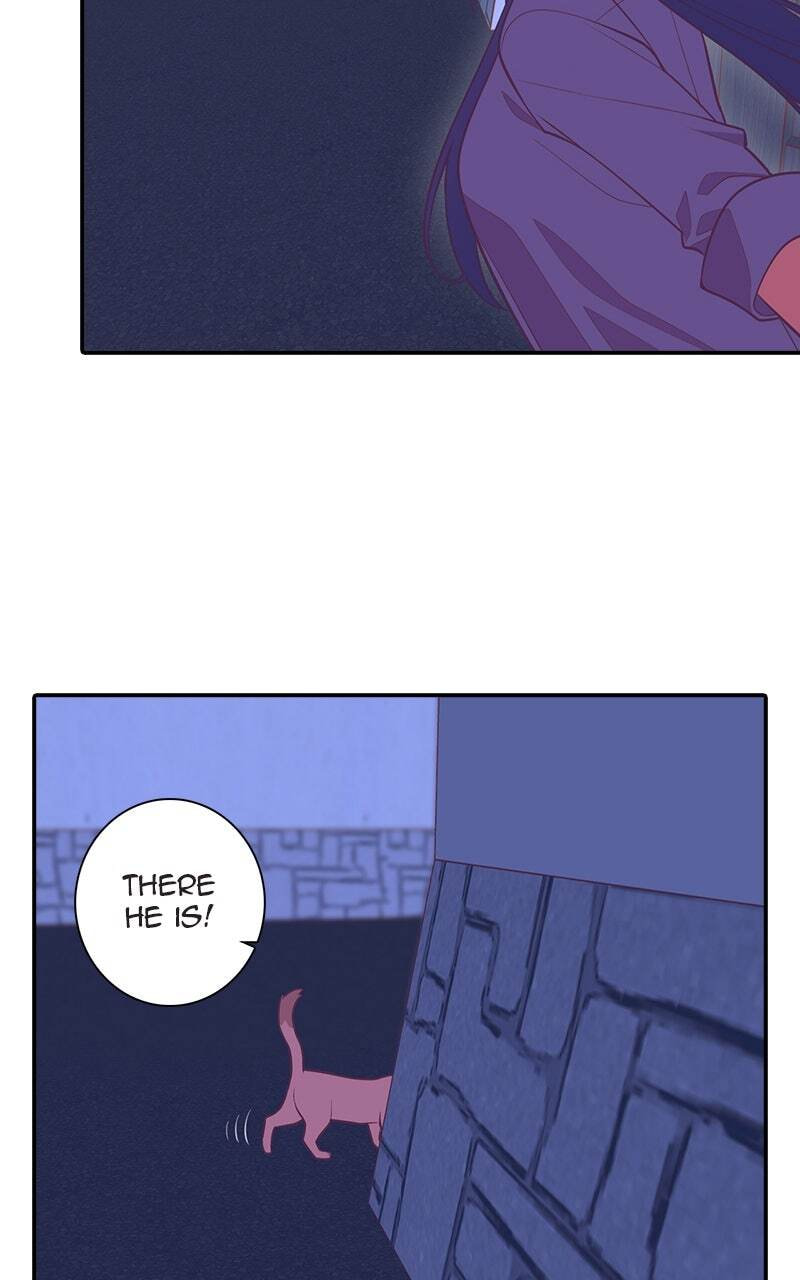 SHIRAI Chapter 49 page 17 - 