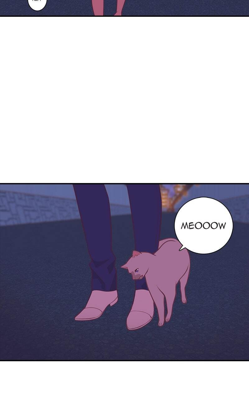 SHIRAI Chapter 49 page 19 - 