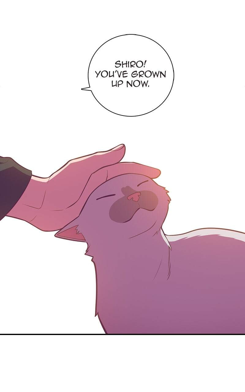 SHIRAI Chapter 49 page 20 - 