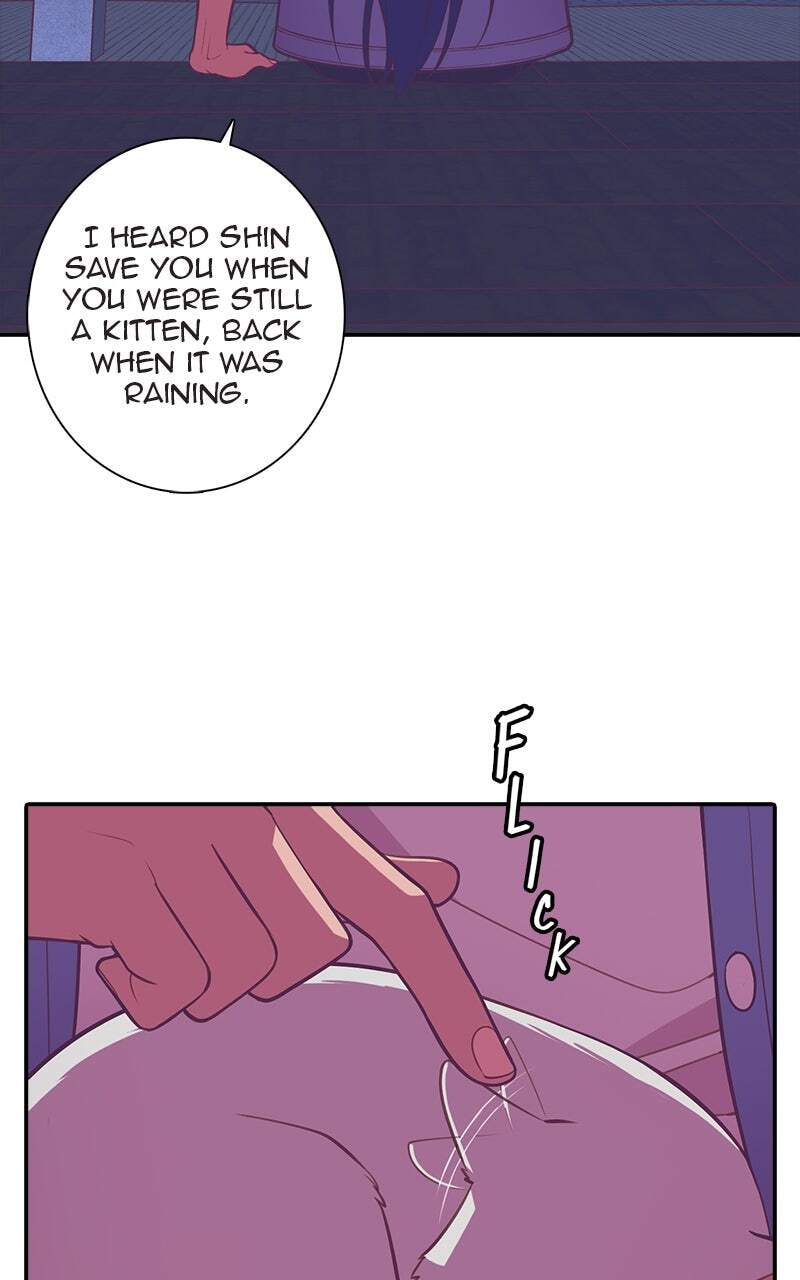 SHIRAI Chapter 49 page 8 - 
