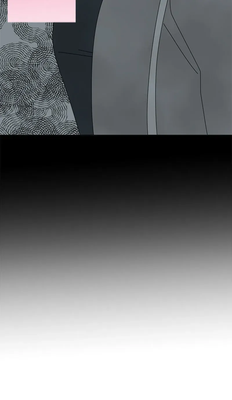 Shiroi Veil wa Itsuwari no Iro Chapter 197 page 5 - 