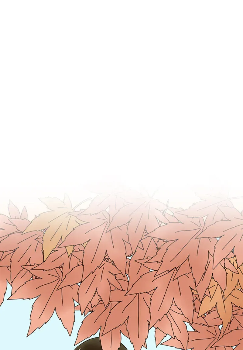 Shiroi Veil wa Itsuwari no Iro Chapter 197 page 6 - 