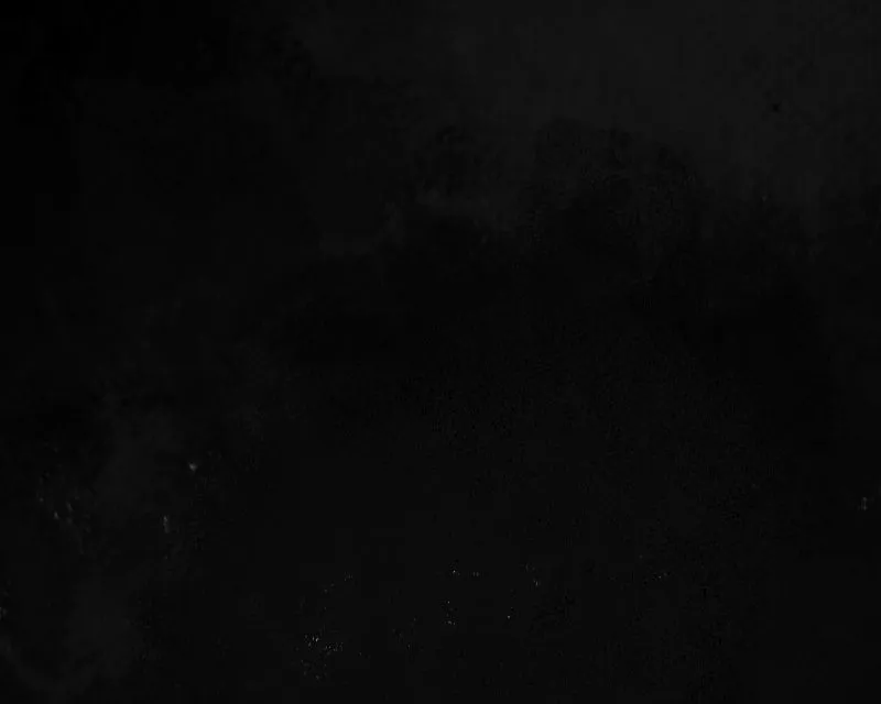 SHOGUNNED Chapter 23 page 215 - 