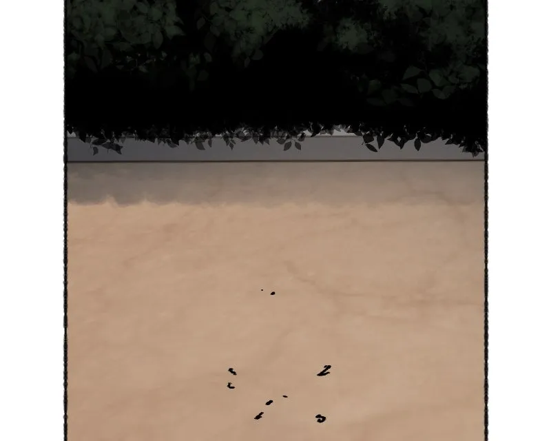 SHOGUNNED Chapter 23 page 235 - 