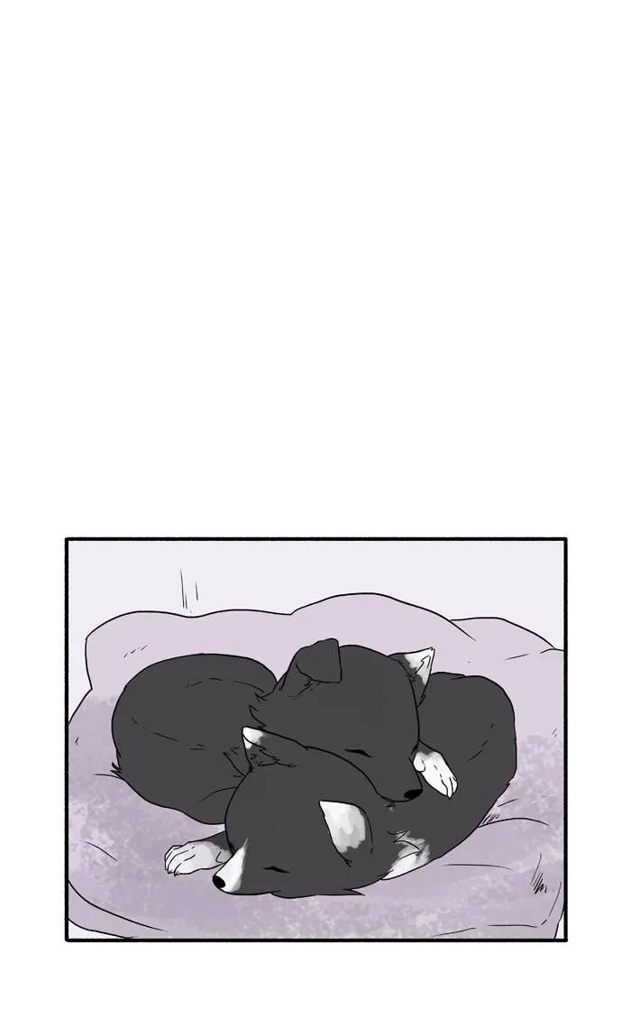 ShootAround Chapter 114 page 17 - 