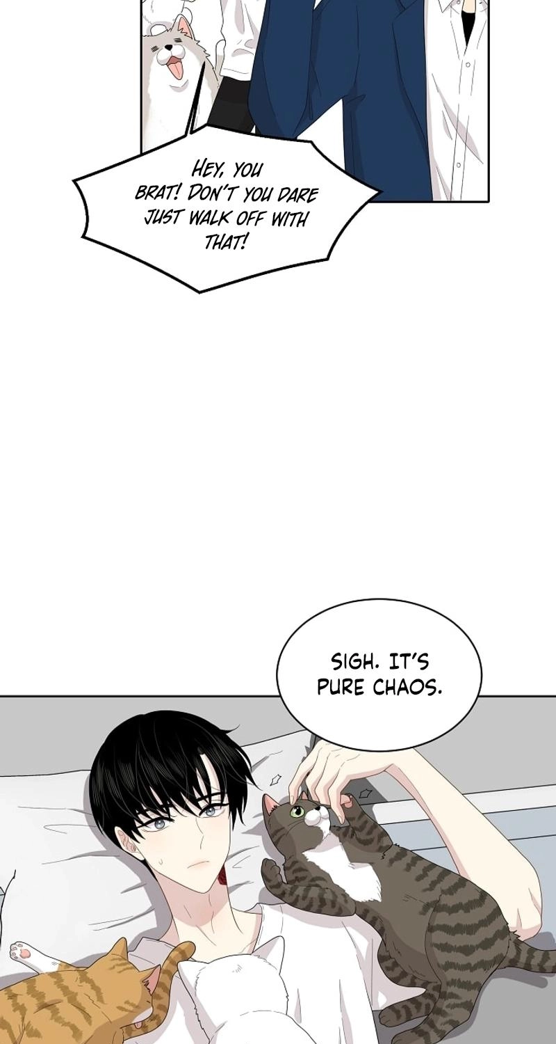 Should I Not Tell? Chapter 13 page 11 - 