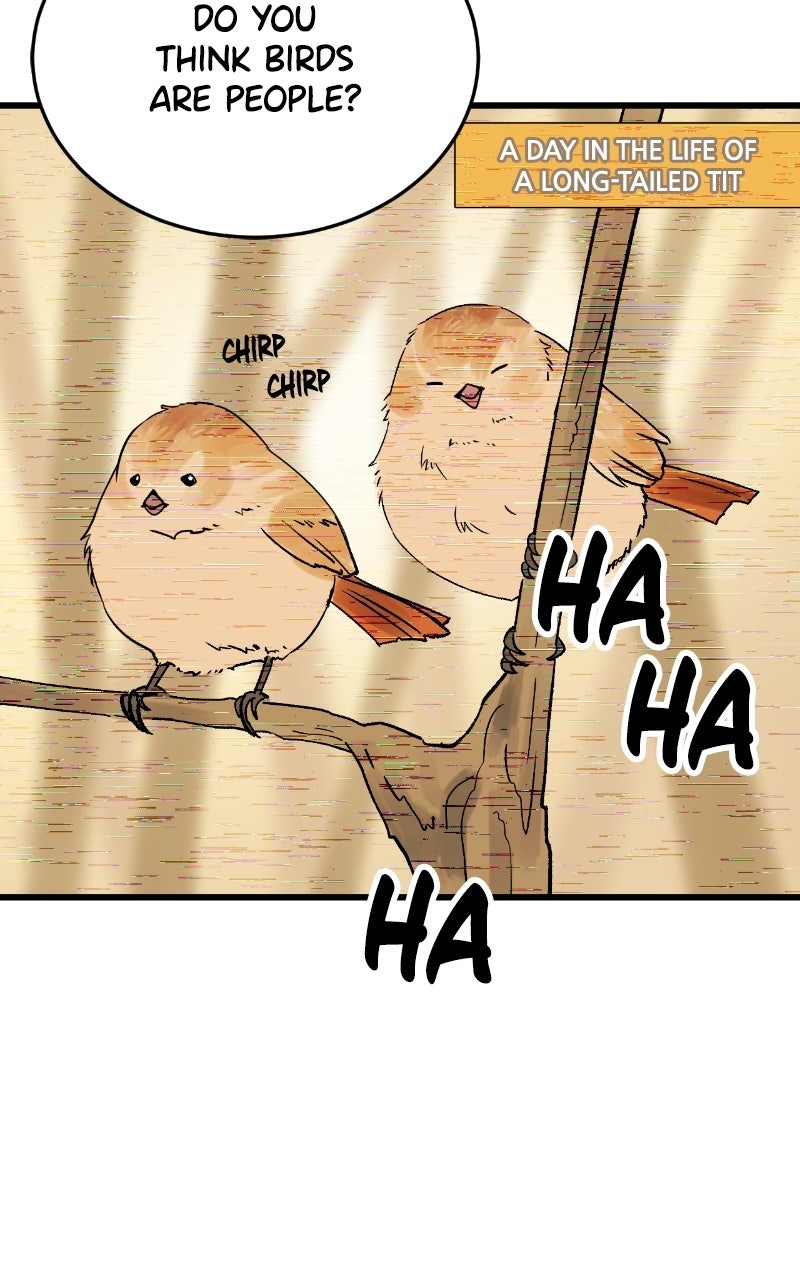 Shutter Flutters Episode 2 page 109 - 