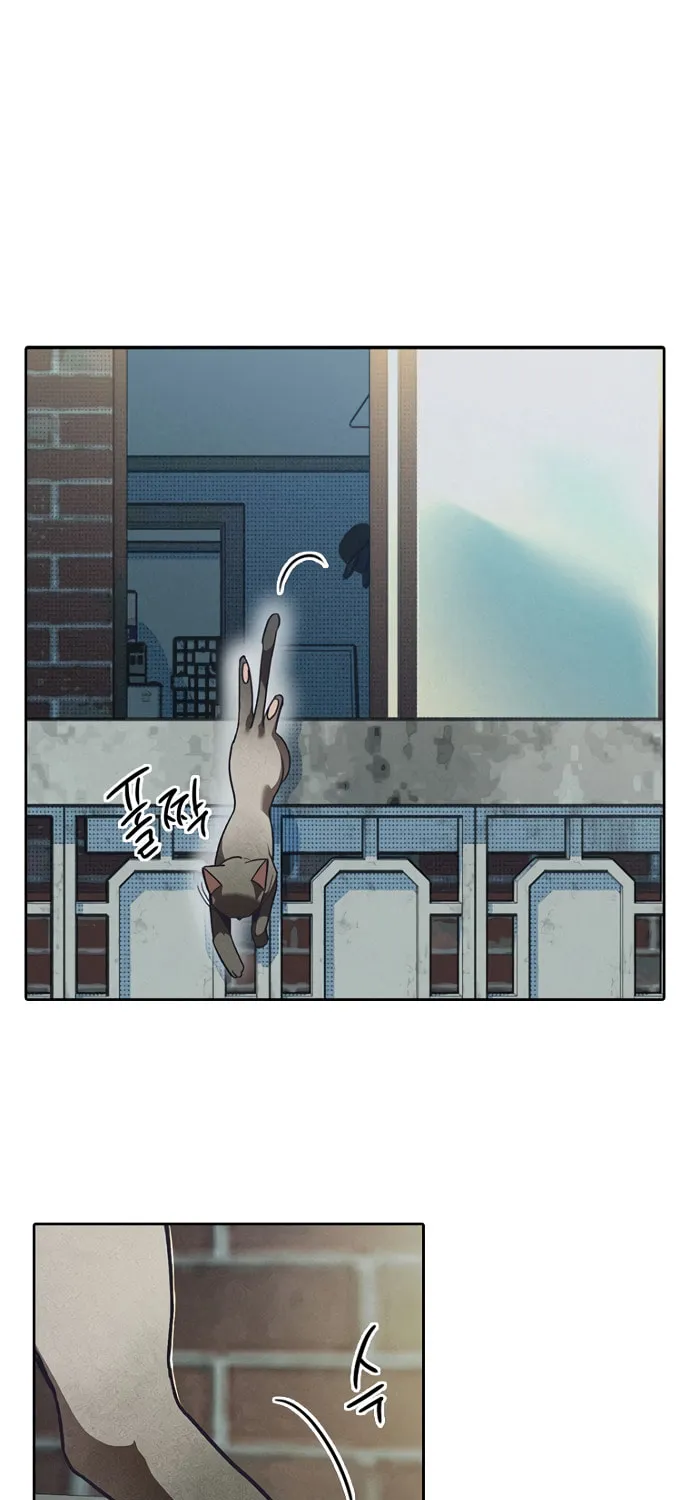 Sibijisonyeo Chapter 2 page 60 - 