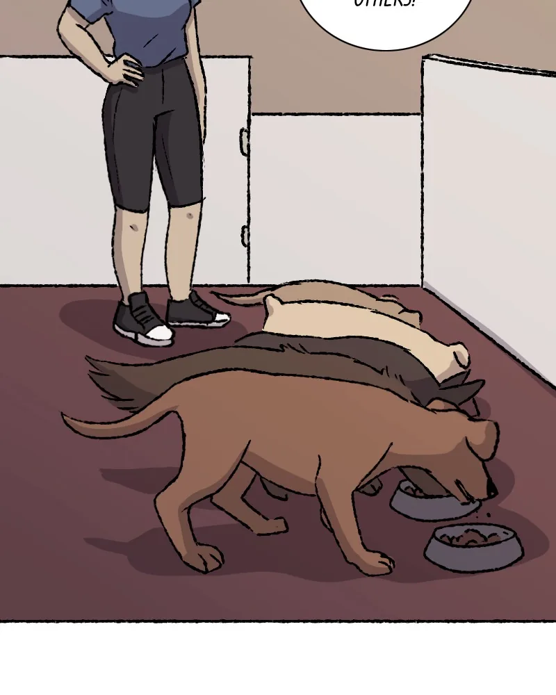 Signs Chapter 132 page 27 - 