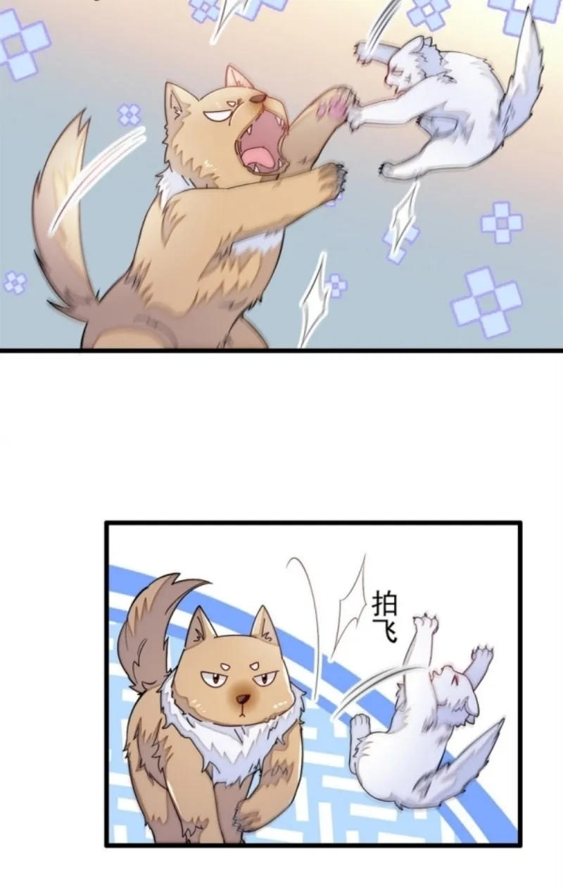 Sijin (Colored) Chapter 334 page 22 - 