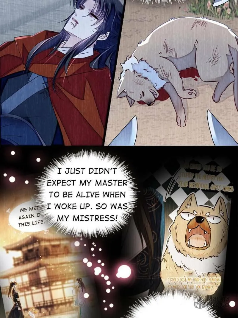 Sijin (Colored) Chapter 388 page 42 - 
