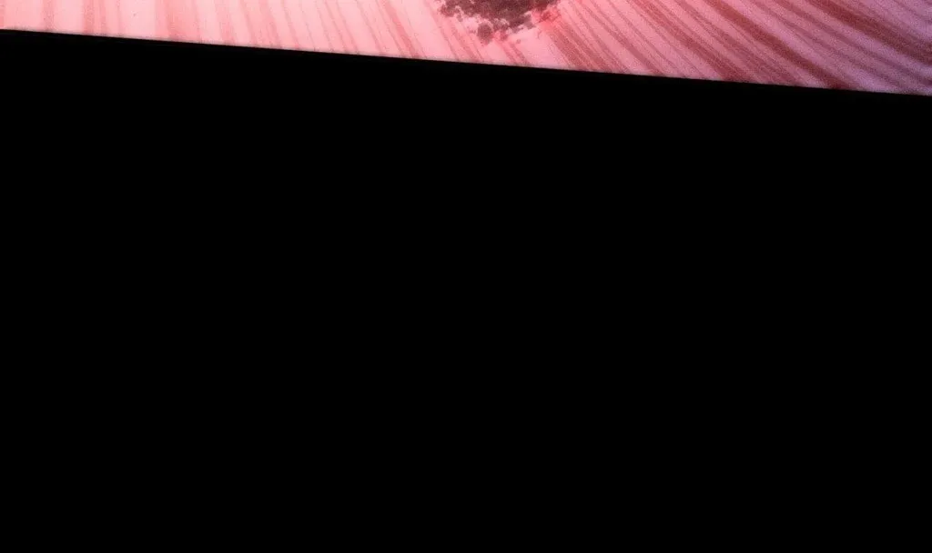 Sinister Immortal Path Chapter 25 page 91 - 