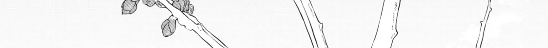 Sketchy Chapter 20 page 52 - 