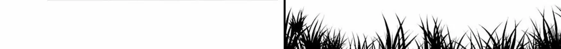 Skill [Saisei] to [Hakai] kara Hajimeru Saikyou Boukensha Life: Gomihiroi to Tsuihousareta kedo Kikakugai no Chikara de Nariagaru! Chapter 8 page 37 - 