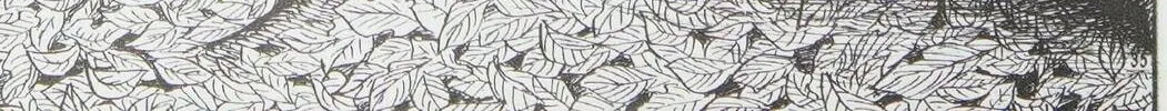 Skin and Bone Chapter 4 page 74 - 