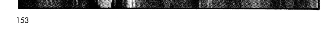Skin and Bone Chapter 7 page 2 - 
