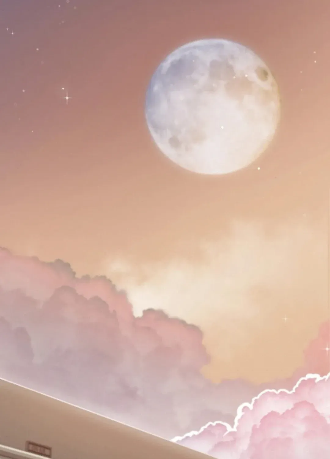 Skylight Radio Chapter 14 page 219 - 