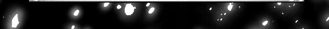 Smile Down the Runway Chapter 193 page 2 - 