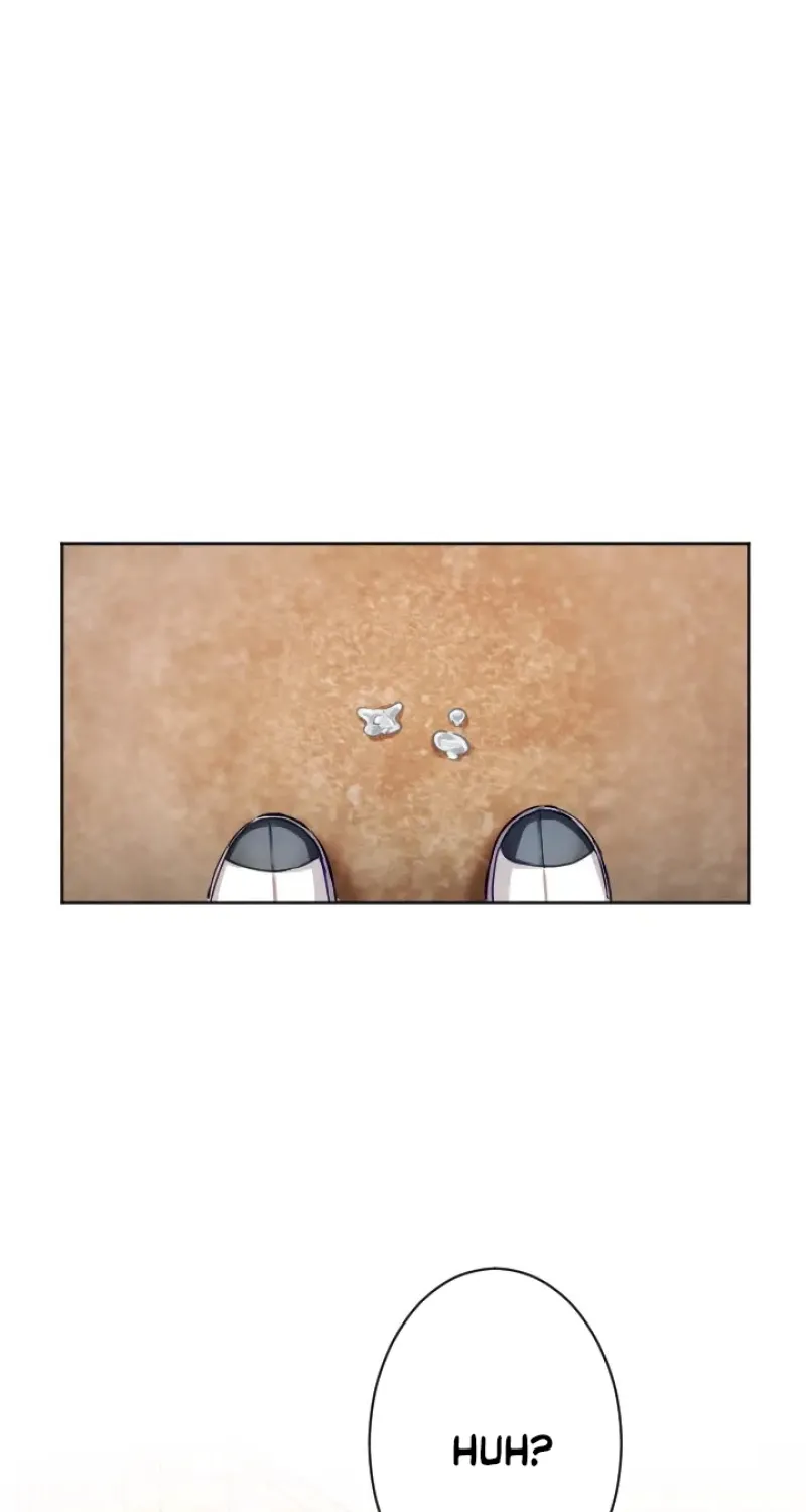 So you're done Chapter 4 page 111 - 