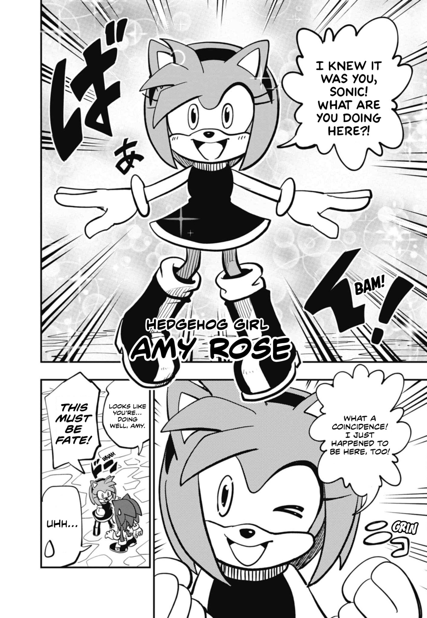 Sonic and the Blade of Courage Chapter 16 page 4 - 