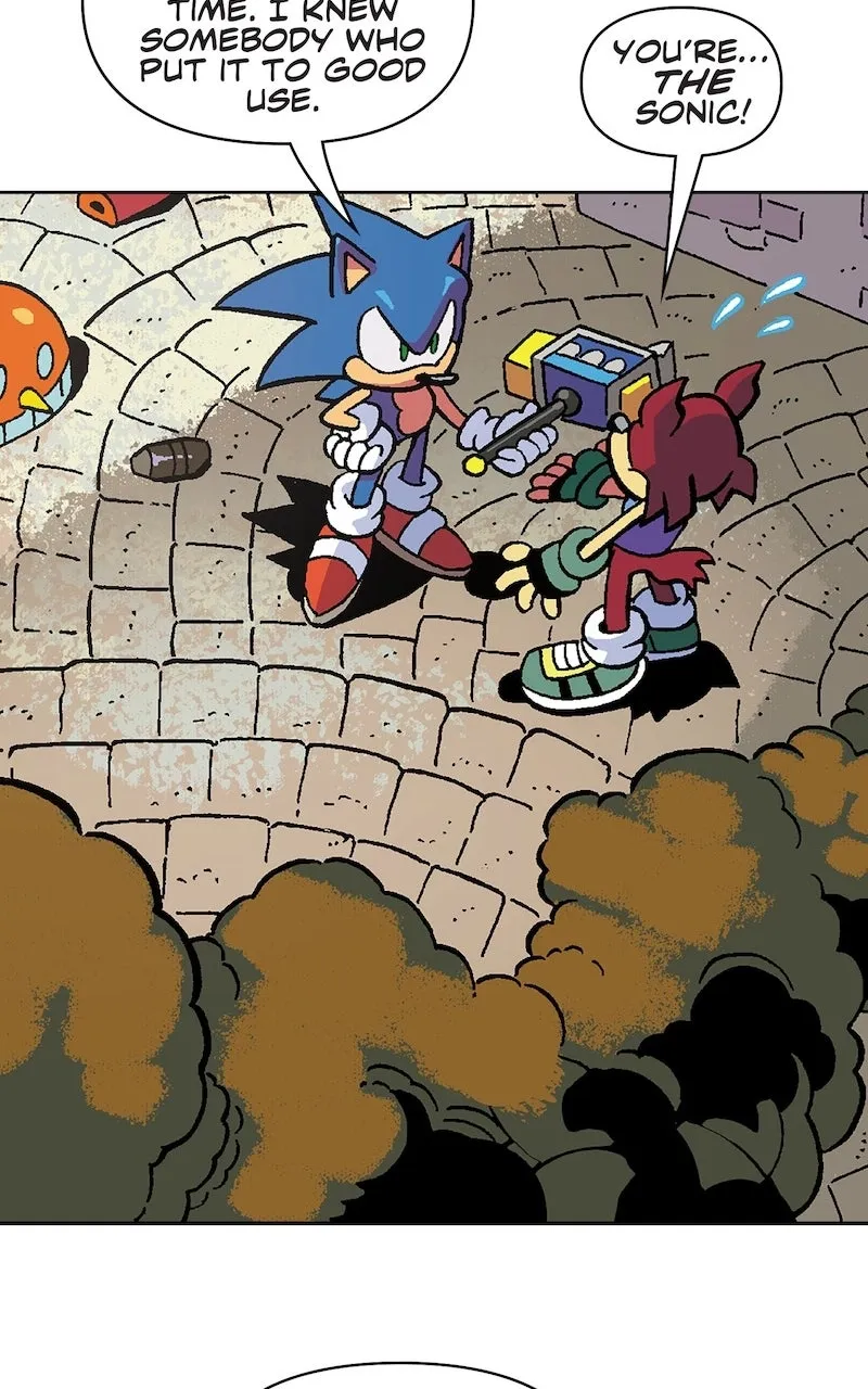 Sonic the Hedgehog Chapter 1 page 15 - 