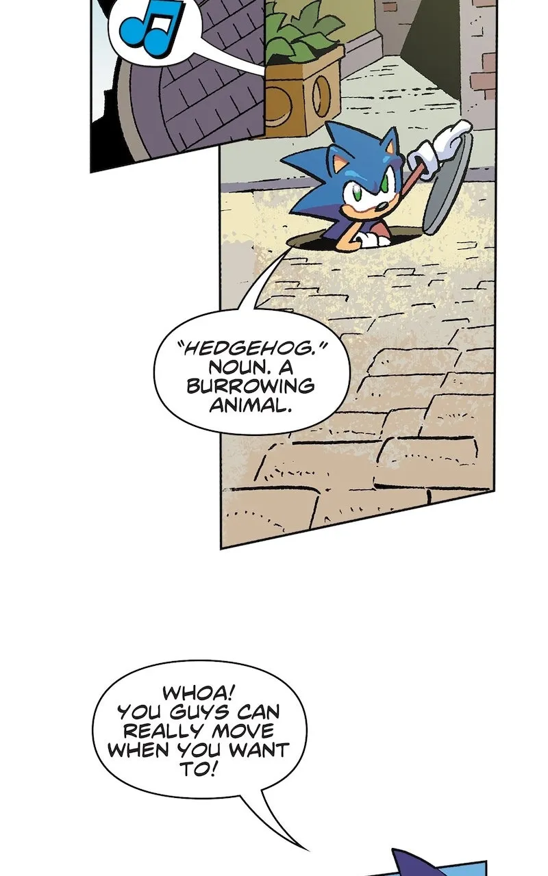 Sonic the Hedgehog Chapter 1 page 34 - 
