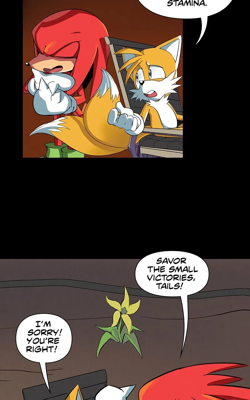 Sonic the Hedgehog Chapter 14 page 39 - 