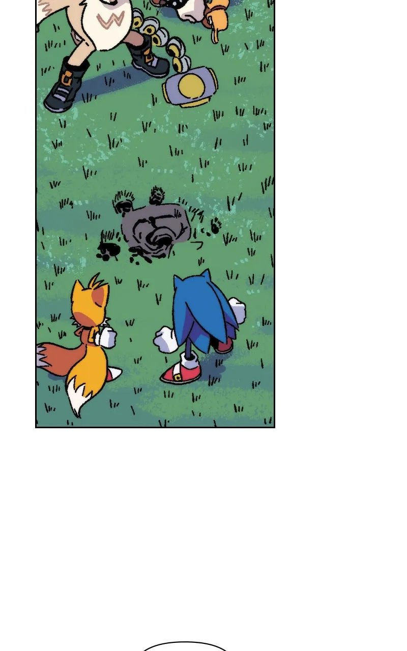 Sonic the Hedgehog Chapter 26 page 12 - 