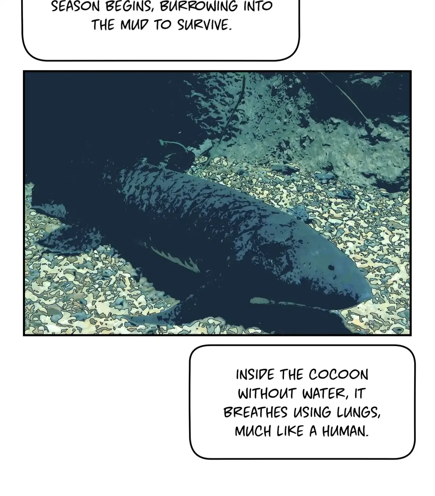 SOS! Fledgling Report Chapter 12 page 80 - 