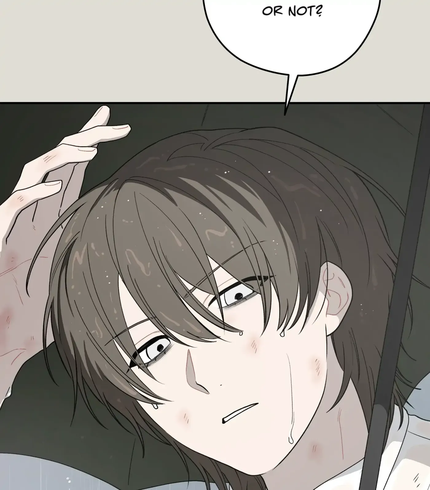 SOS! Fledgling Report Chapter 25 page 66 - 