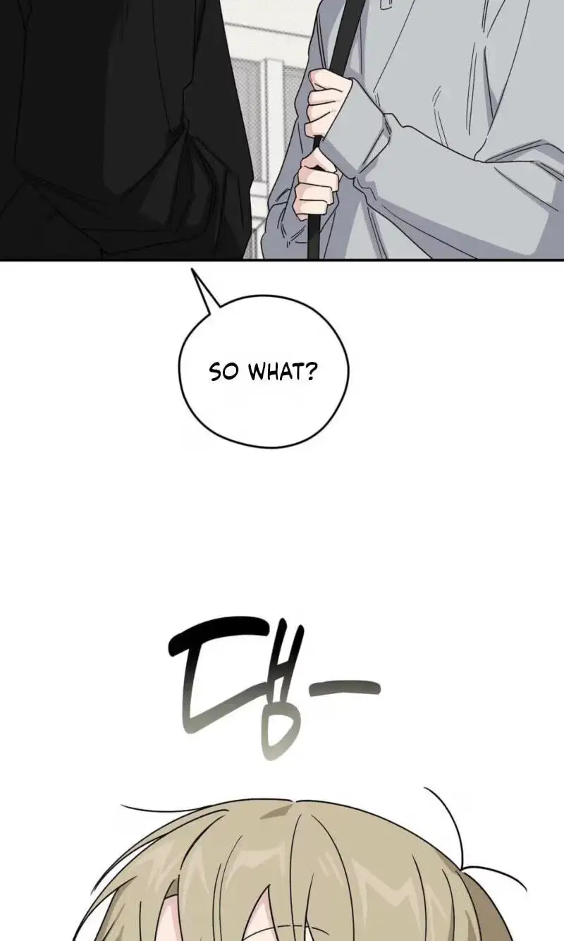 SOS! Fledgling Report Chapter 55 page 4 - 