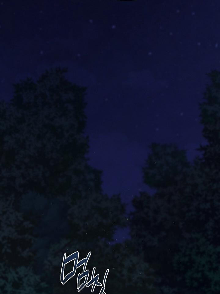 Soulbound Chapter 56 page 66 - 