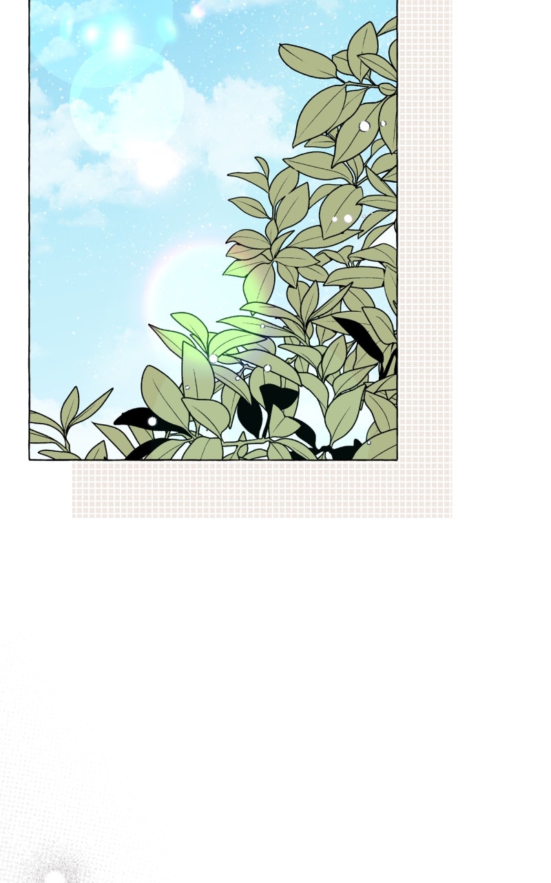 Special Re-Launch: Not YourTypical Reincarnation Story Episode 15 page 61 - 