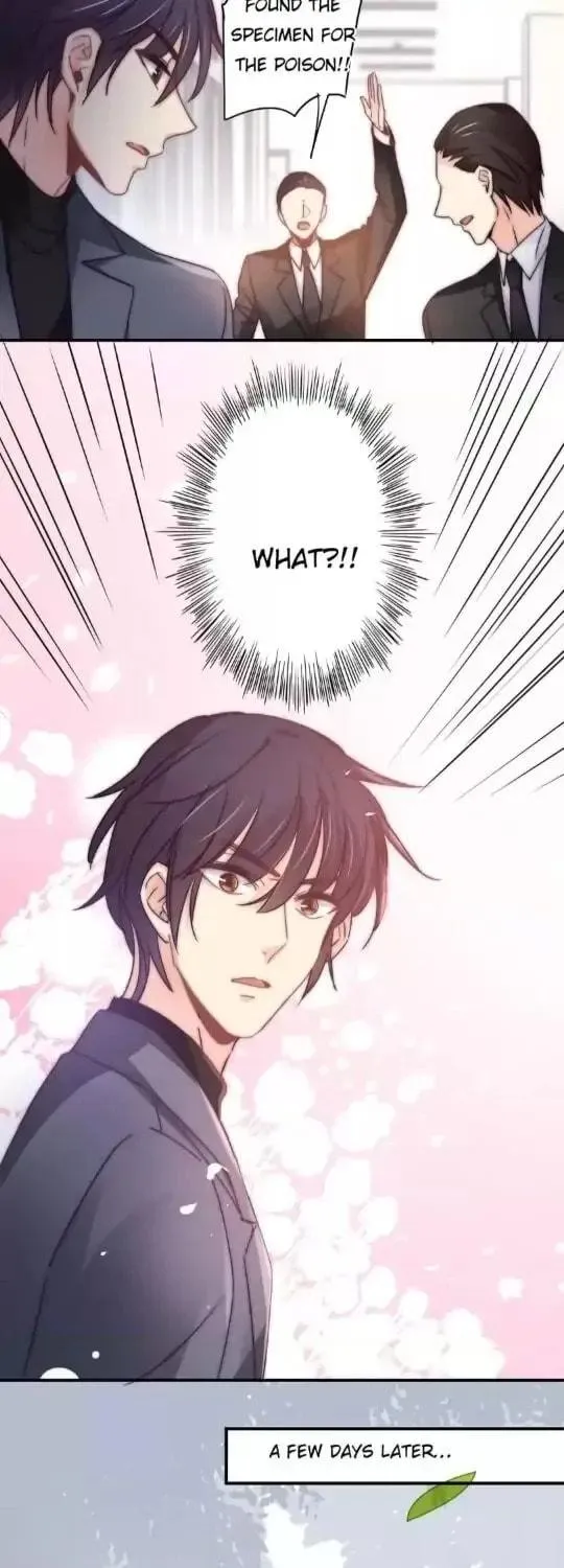 Spicy Wife (Colored) Chapter 111 page 5 - 