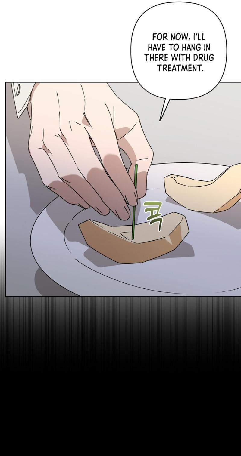 Spring, at Last Chapter 17 page 64 - 