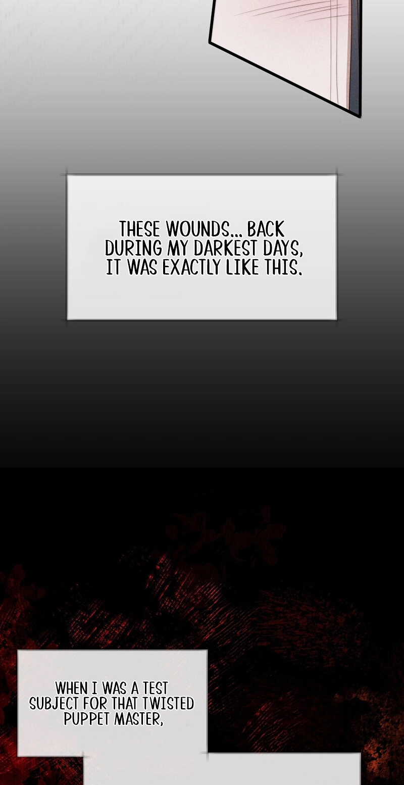 Spring Came Just as I Arrived Chapter 33 page 12 - 