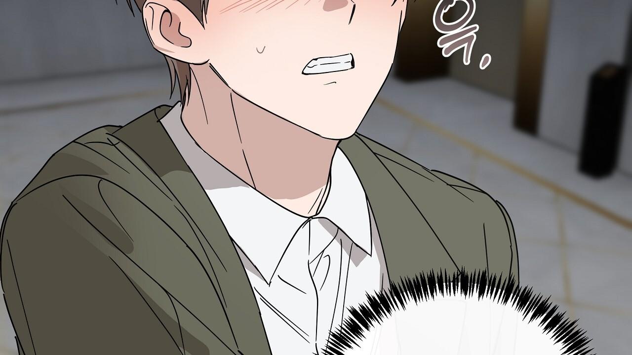 Spring Finally Arrived Chapter 19 page 154 - 