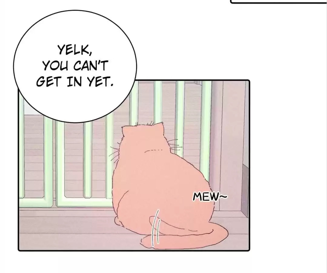 Spring Is Coming Chapter 105 page 15 - 